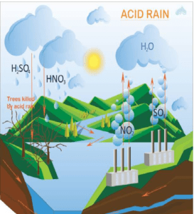 various gases in the atmosphere mix with rainwater to form acid rain
