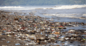 a beach is destroyed completely due to solid waste