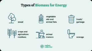 Six types of biomass are used for energy production. 