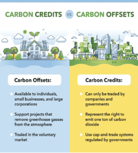 differential points between carbon credits and offsets