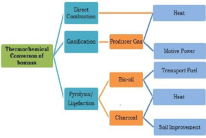 A flow-chart of thermochemical conversion of bioamss 