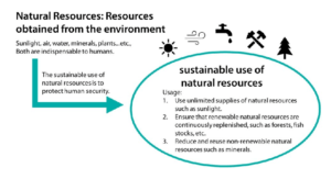 natural resources obtained from the environment 