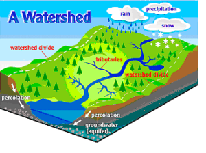  the components and flow of a watershed, highlighting water movement and land features.