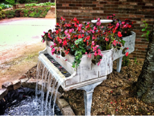 An old piano is transformed into a vibrant flower garden